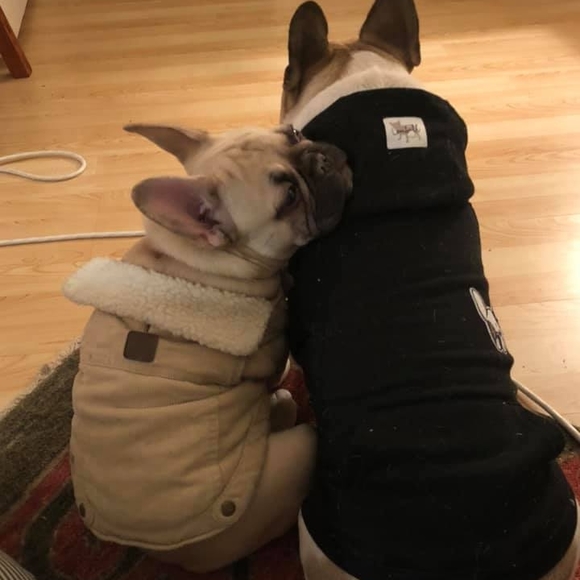 suzdog101